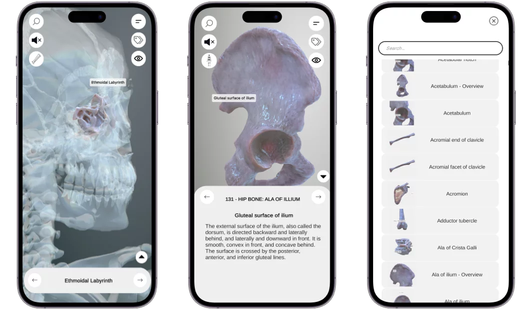 3D Osteology Screenshot