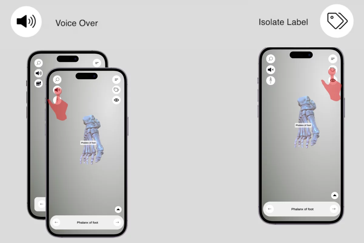 Voiceover and Isolate Labels