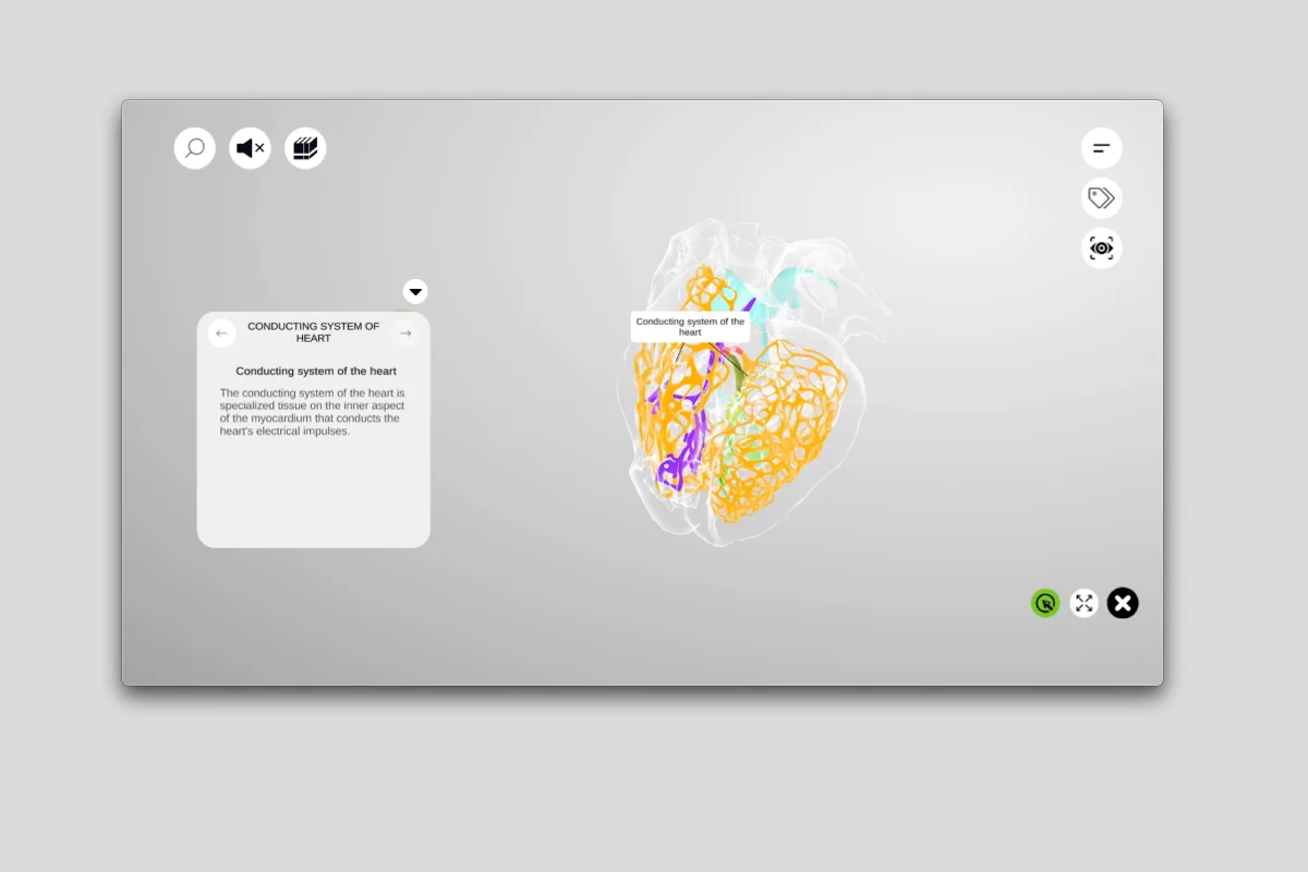 3D Heart Anatomy App Interface
