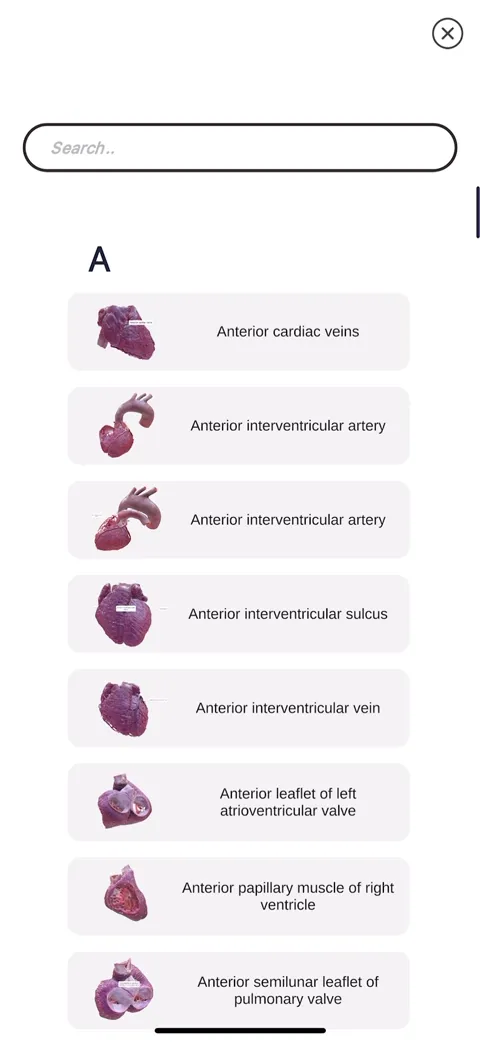 Search index for cardiac structures