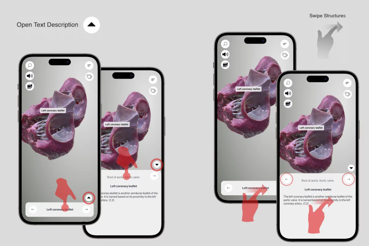 Open Descriptions and Swipe