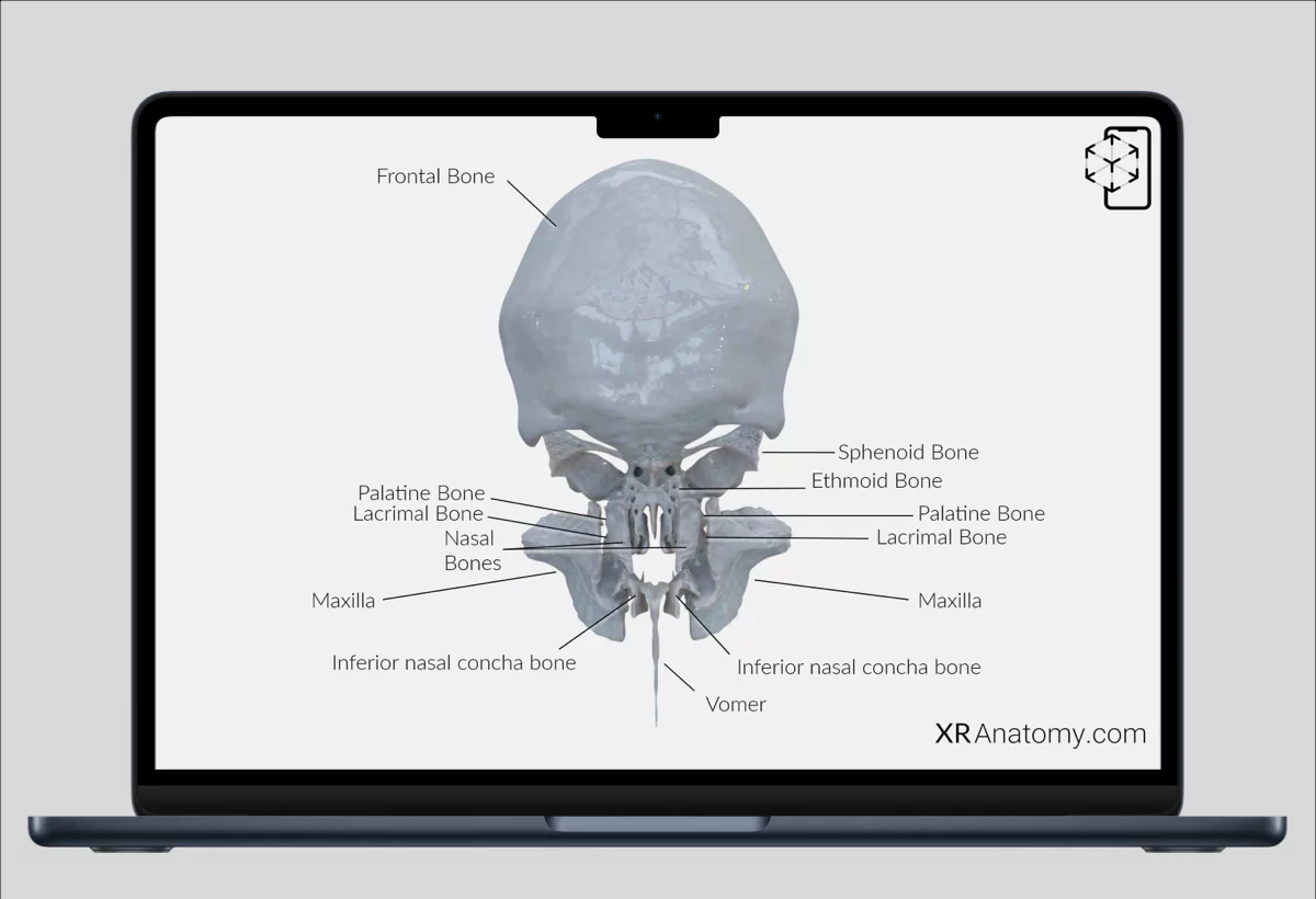 Access AR Illustrations